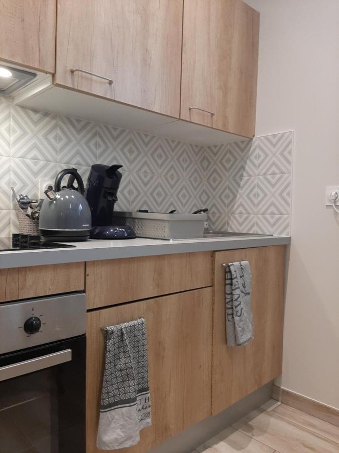 Apartamento Proche Gare, Cosy, Courte Et Moyenne Duree Bellegarde-sur-Valserine Exterior foto